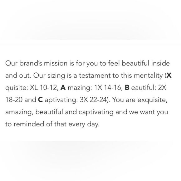 A Beautiful Soul Ladies Plus Size Embroidered Flutter Sleeve Gauze Shift Dress - Picture 7 of 7